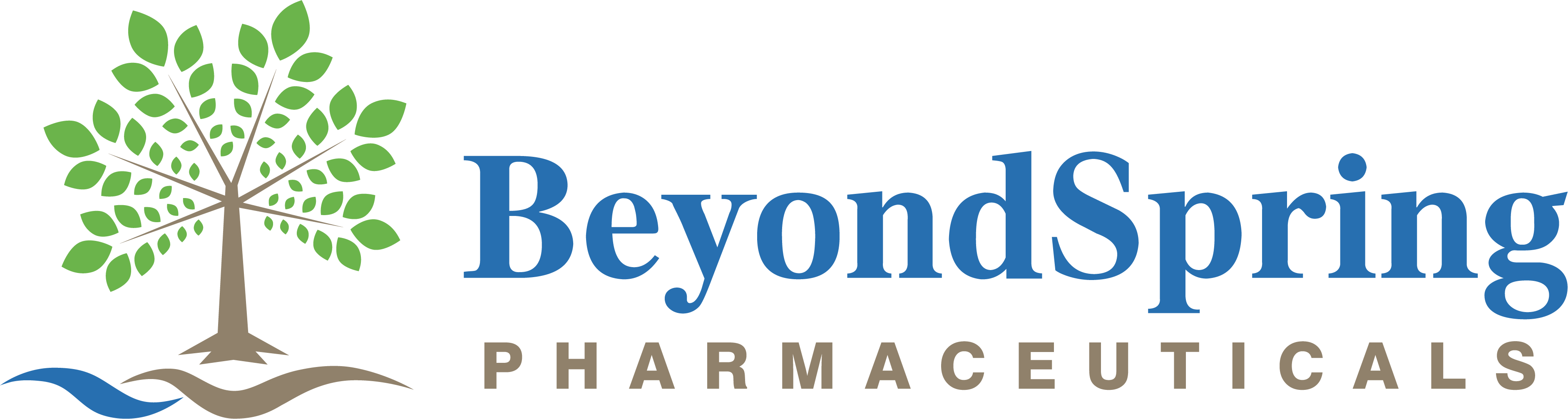 Beyond Spring Logo