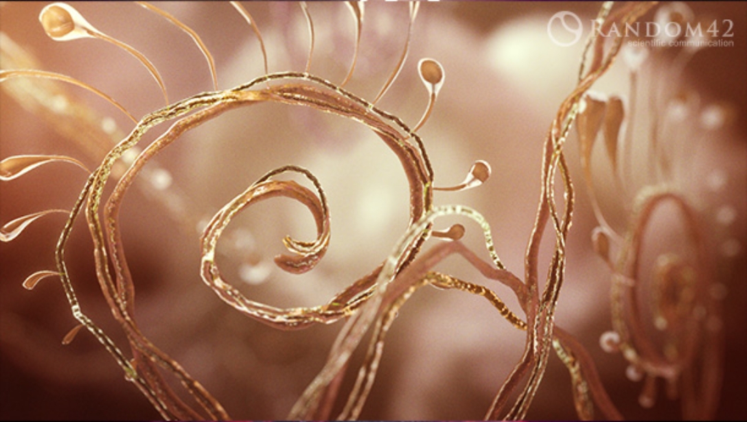 3D model of a plant designed by Random42