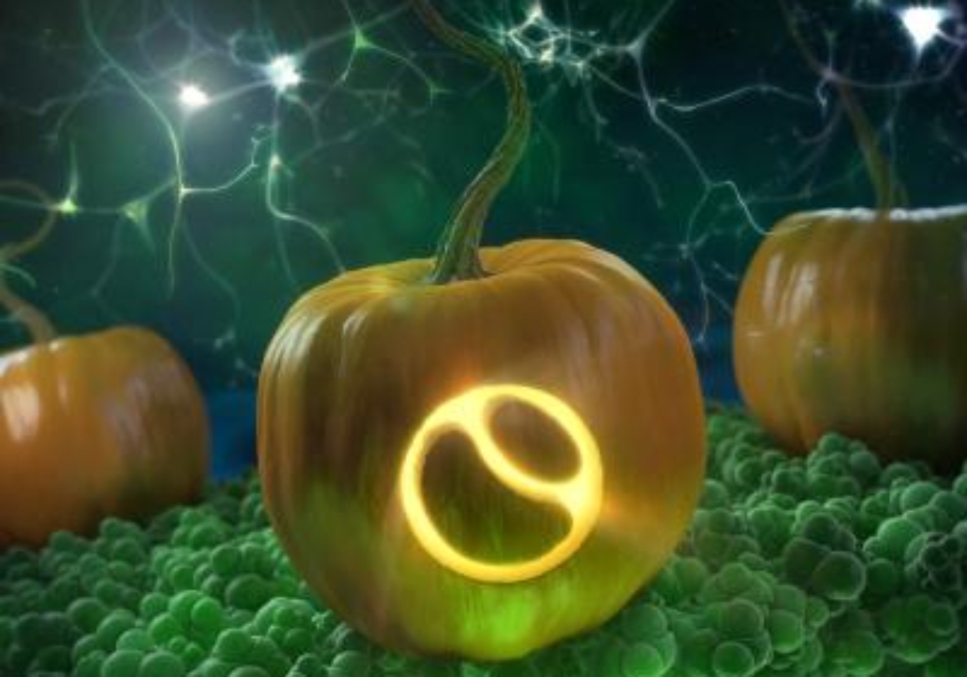 3D model of pumpkins designed by Random42