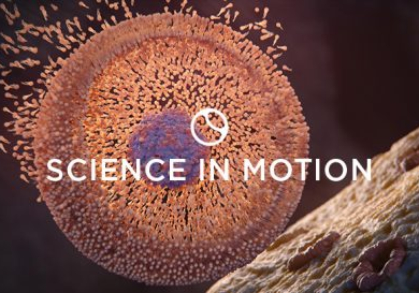 Science in motion logo