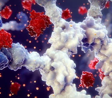 3D model of auto inflammation designed by Random42