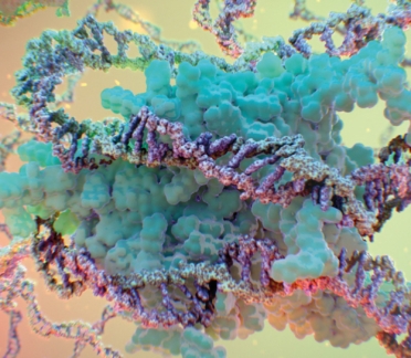 3D model of DNA histone designed by Random42