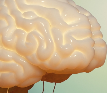 3D model of brain designed by Random42