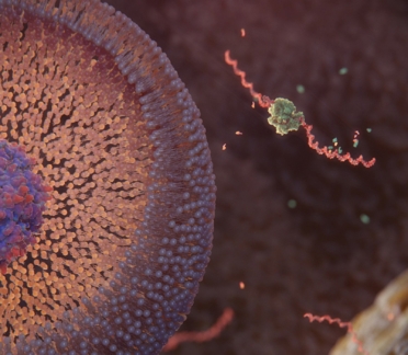 3D model of cytoplasm designed by Random42