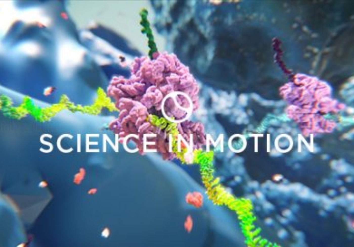 3D model of ribosomes designed by Random42