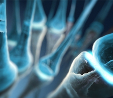 3D model of autonomic regulation therapy designed by Random42