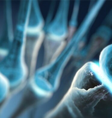 3D model of autonomic regulation therapy designed by Random42