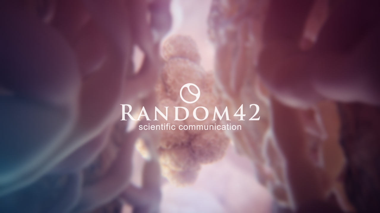 Random42 Logo