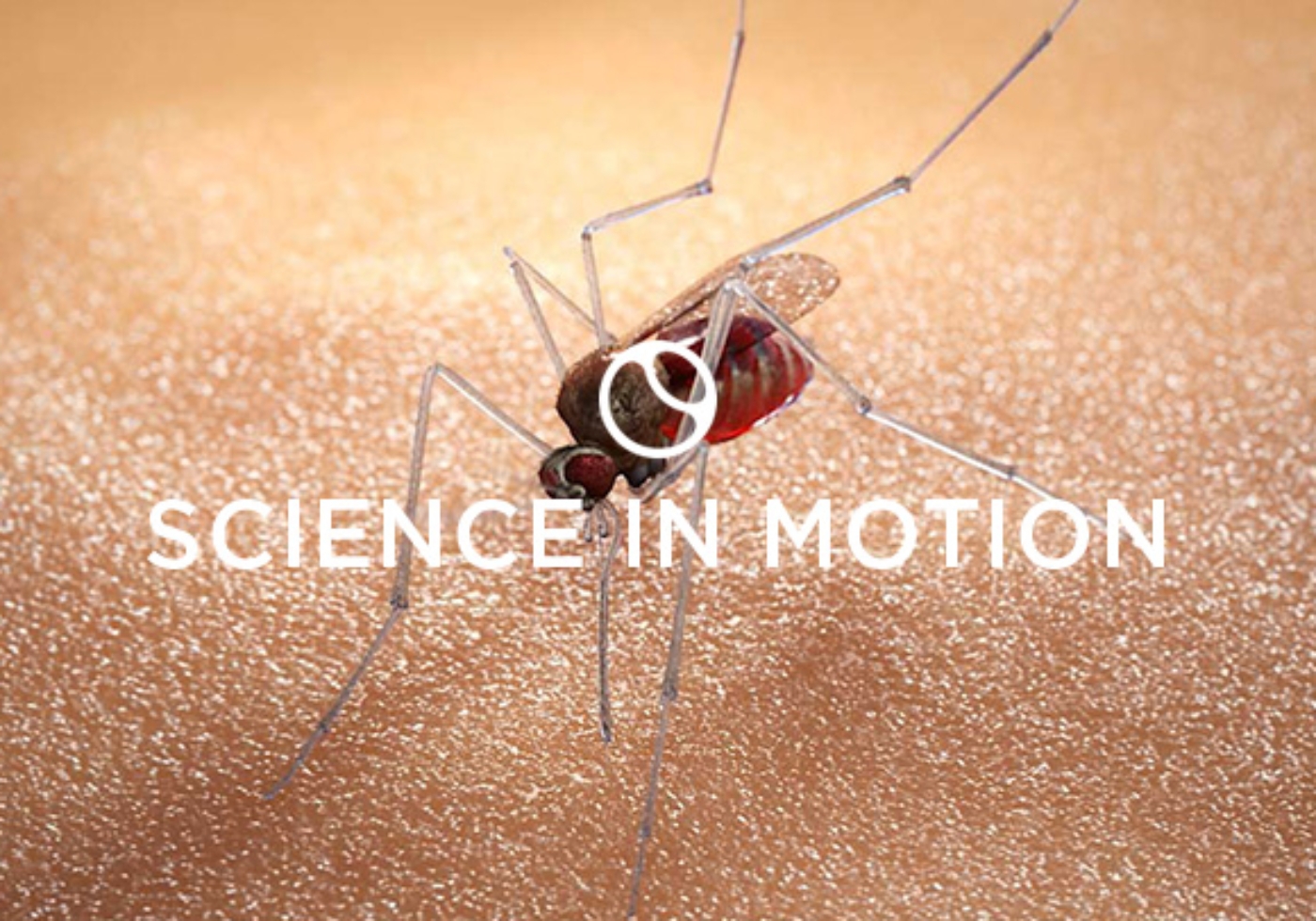 Random42 Science in motion Malaria