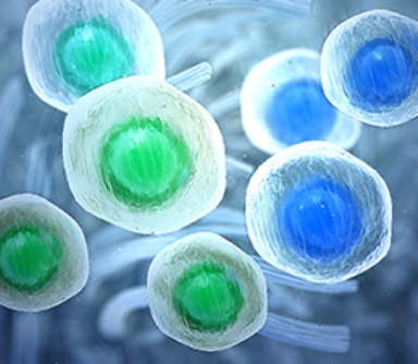 3D model of tissue repair designed by Random42