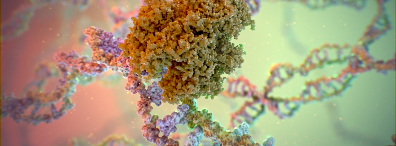 Pharmaceutical animation