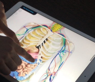 Interactive microsite designed by Random42
