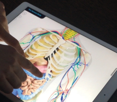 Interactive microsite designed by Random42