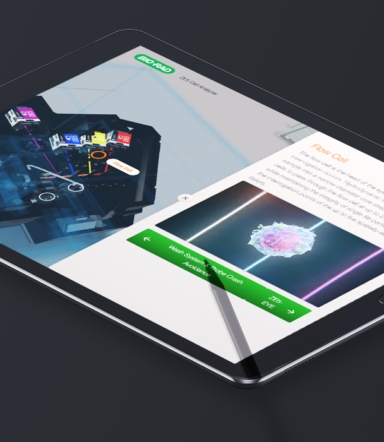 Interactive microsite designed by Random42