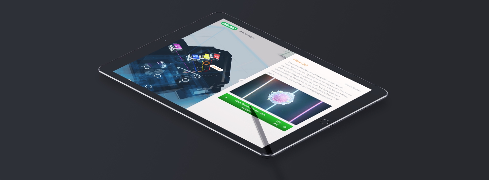 Interactive microsite designed by Random42