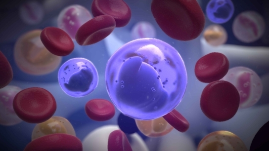 Medical Animation for Industry Events