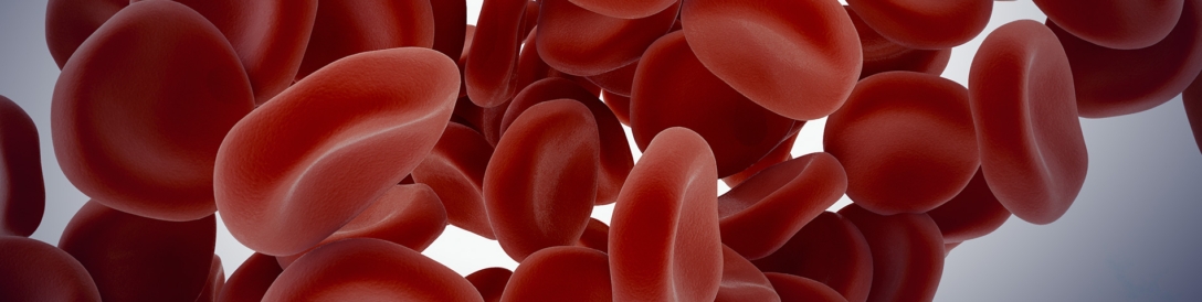 3D model of hematology designed by Random42