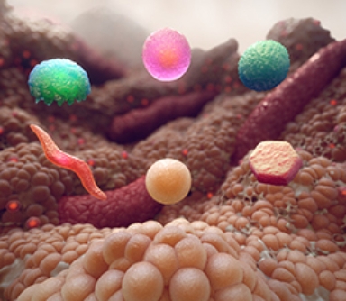 3D model of fat cells designed by Random42