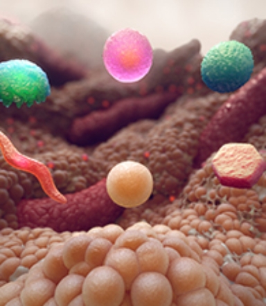 3D model of fat cells designed by Random42