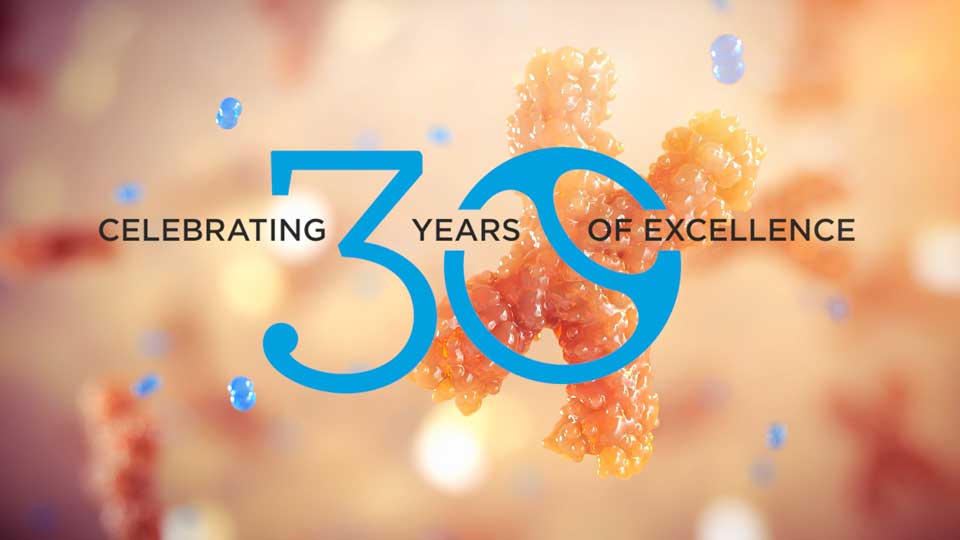 30 years of creative excellence logo