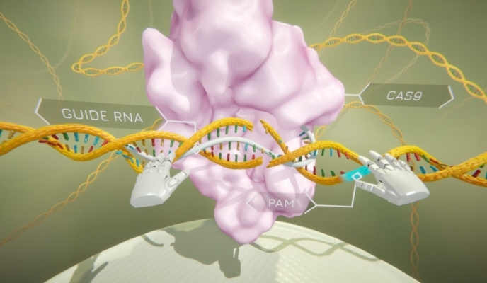 Virtual reality 3D model of gene editing designed by Random42