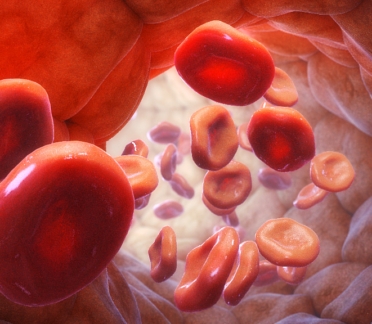 3D model of a blood vessel designed by Random42