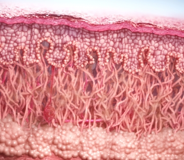 aesthetic injectable treatment animation