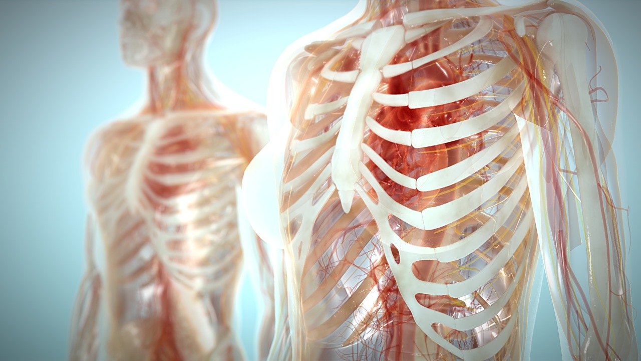 Bone biology disease website