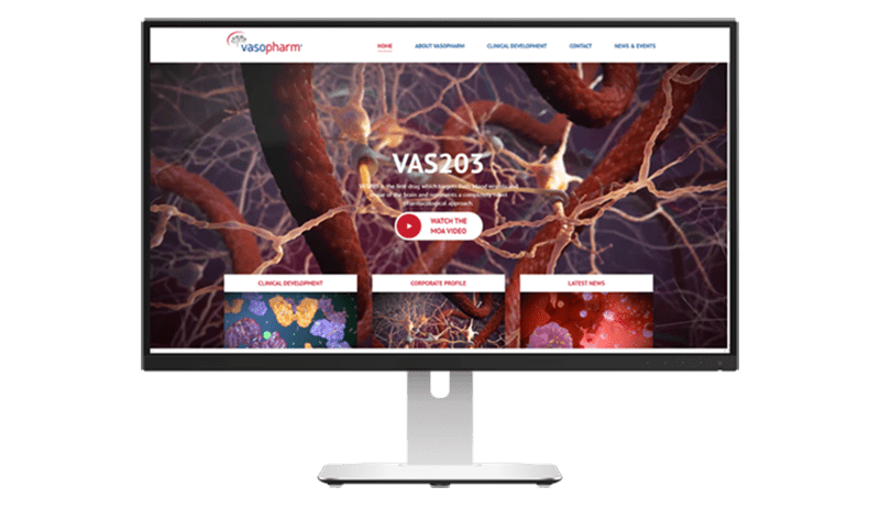 Brain Injury Medical Animation