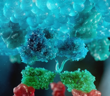 Natural Killer Cell Animation