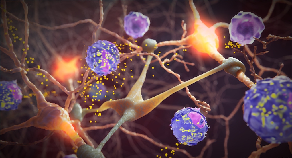 Traumatic Brain Injury Medical Animation