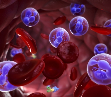Immunotherapy MoA Animation