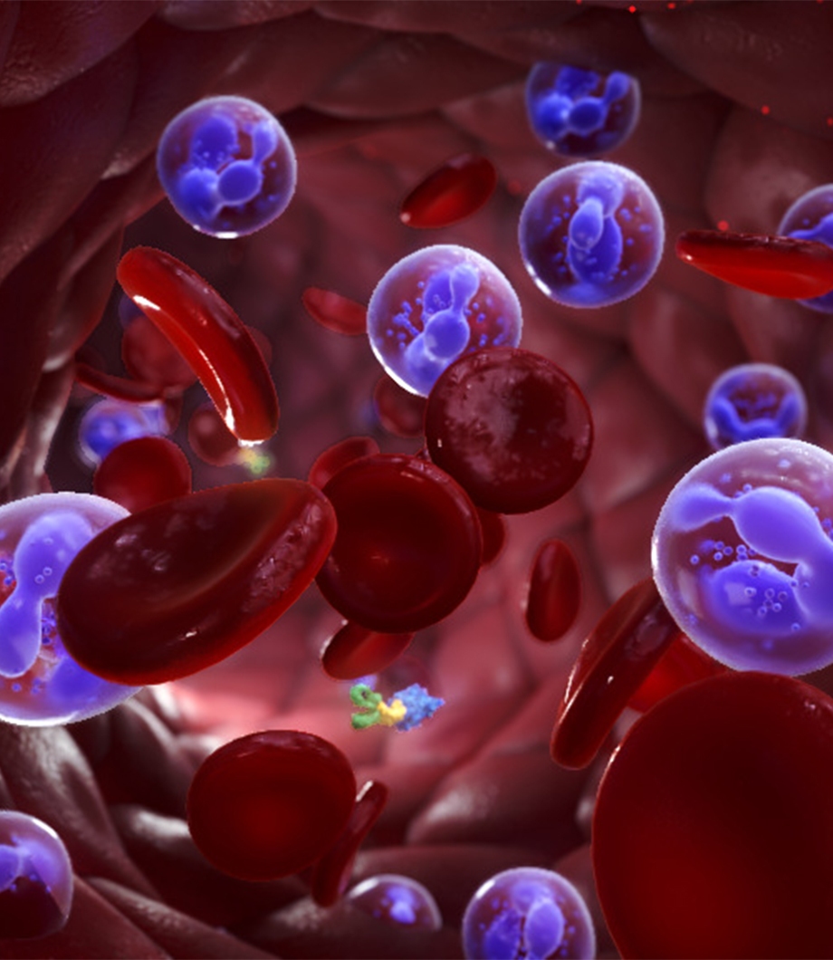 Immunotherapy MoA Animation