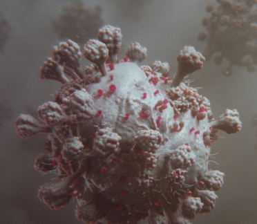 Coronavirus Animation