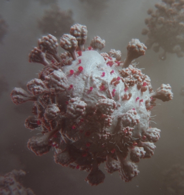 Coronavirus Animation