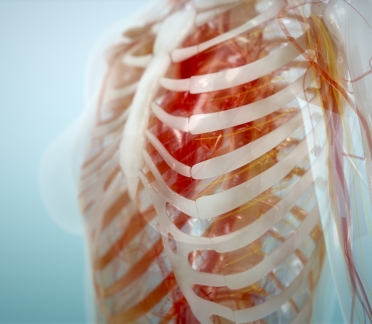 bone science scientific video series