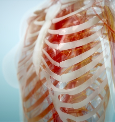 bone science scientific video series