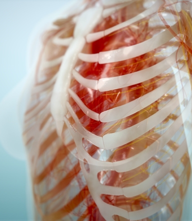 bone science scientific video series