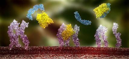 bone science website