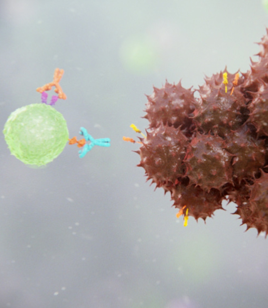 Immunotherapy Medical Animation