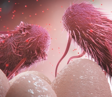 animal health scientific animation