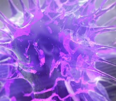 Organ on chip scientific animation
