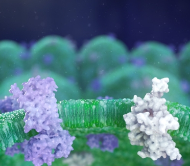 Overactive Bladder Animation