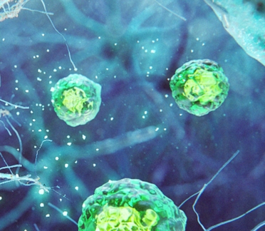 Autologous Cellular Repair Animation