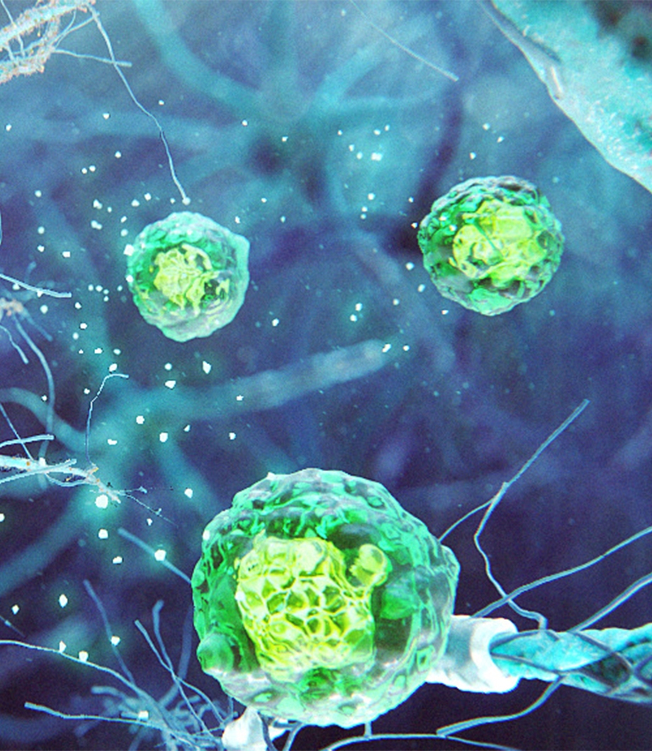 Autologous Cellular Repair Animation