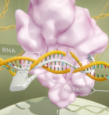 Gene Editing Virtual Reality