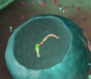 multiple sclerosis animation