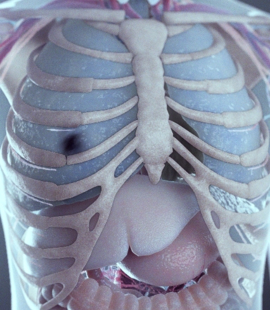 immunotherapy technology animation
