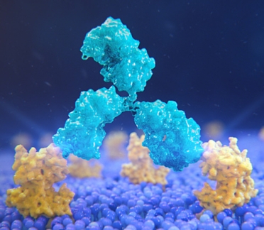 immuno-oncology research pipeline