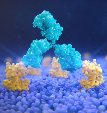 immuno-oncology research pipeline